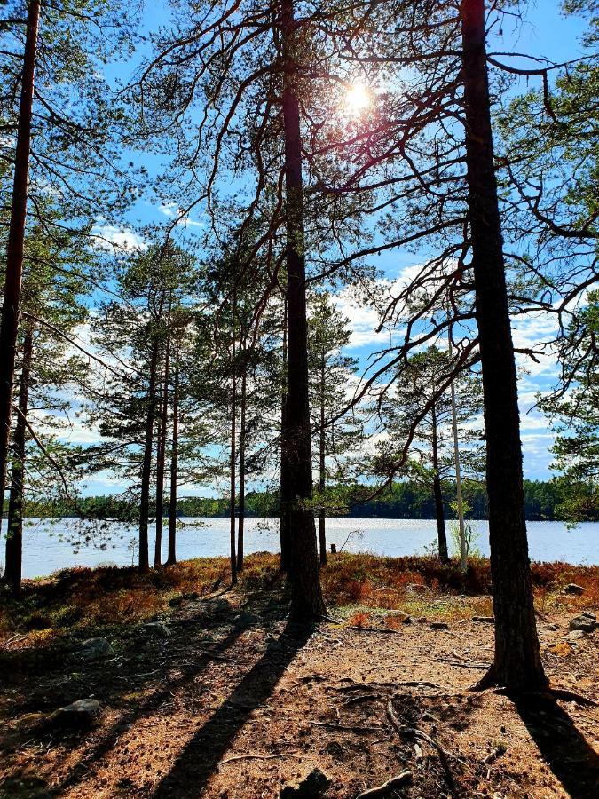 Schnieders2German Forest Room Harmånger Eksteriør billede